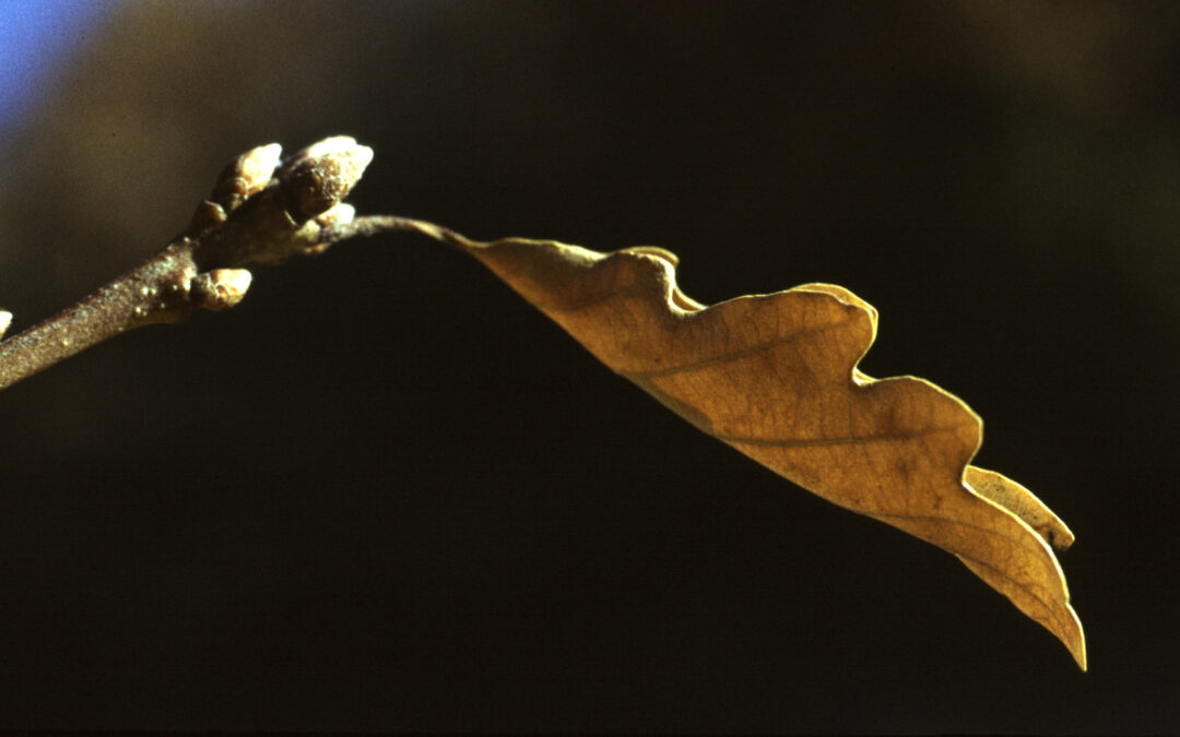 Land art at the thermal baths
