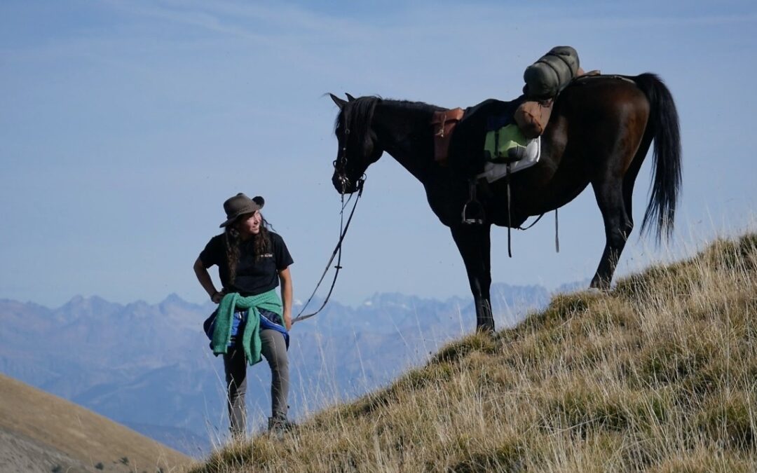Art in the mountains” horseback ride