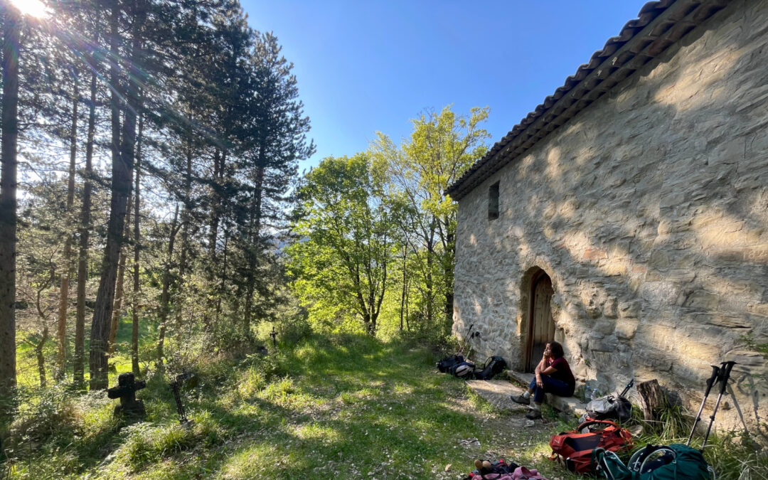 Bivouac evening at La Forest